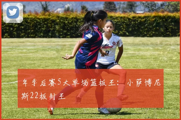 年季后赛5大单场篮板王：小萨博尼斯22板封王
